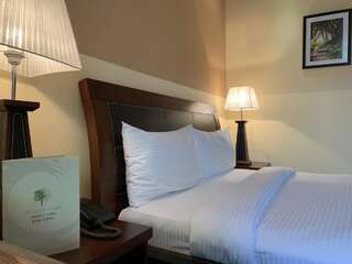 Курортные отели Dilijan Park Resort & Villas Дилижан Стандартный двухместный номер с 1 кроватью-2