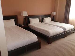 Курортные отели Dilijan Park Resort & Villas Дилижан Стандартный трехместный номер-3
