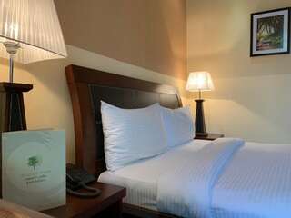 Курортные отели Dilijan Park Resort & Villas Дилижан Стандартный двухместный номер с 1 кроватью-4